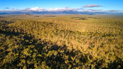 Looking over Yourka Reserve.