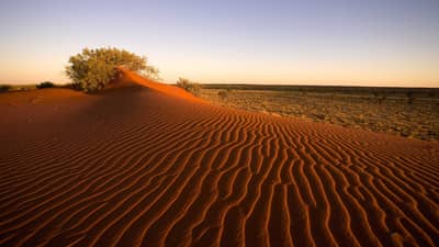 Gay's Dune at Pilungah Reserve.