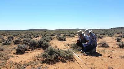 Volunteers Anna and her father Graham Cranney set out the 1 m x 1 m quadrat for a soil surface survey.