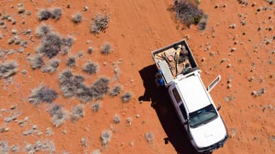 Ute on sandy soils of Bon Bon.