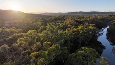 Sunrise over South Esk Pine Reserve.