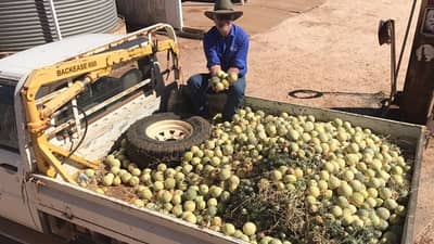 Richard and his bounty!