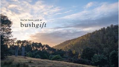 Liffey Valley Gift Card.