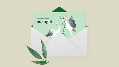 Bushgift card illustration.