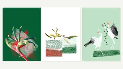 Three Xmas themed gift cards.