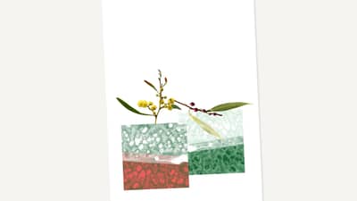 Golden Wattle and Waterbush Gift Card