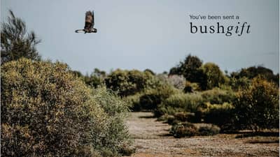 Carnaby's Cockatoo Gift Card.