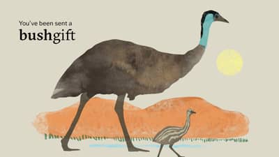 A father emu walking with an Emu chick with the text: You've been sent a bushgift.