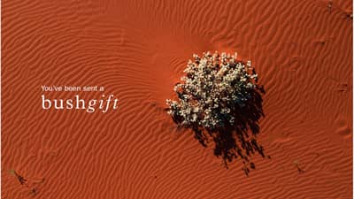 Red Dirt & Wildflowers Gift Card.