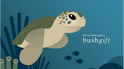 Sea Turtle Gift Card.