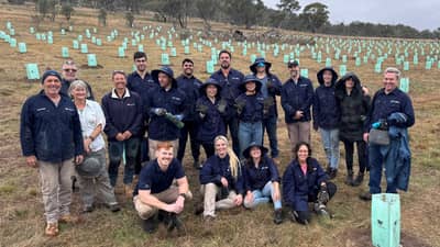Staff from our corporate partners TBH, planting trees at Scottsdale Reserve in NSW.