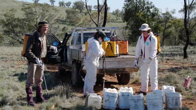 Volunteer weed sprayers at Nardoo Hills. Photo Craig Allen