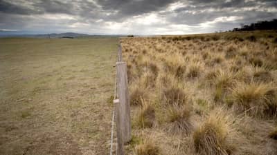 Fence line between Bush Heritage reserve and neighbouring grazing land.