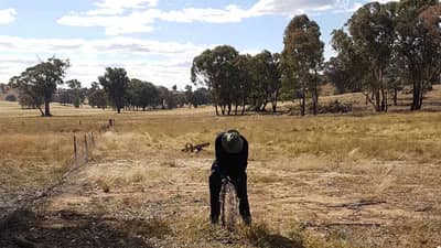 Rolling up fence wire.