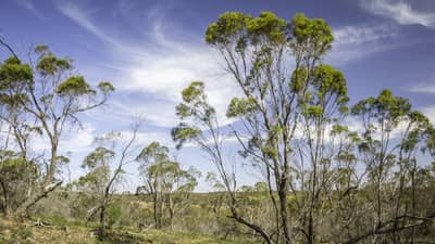 Lawan landscape by Annette Ruzicka