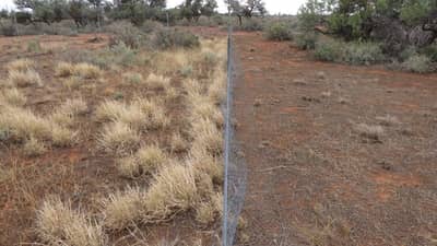 The fence effect is common to exclusion plots observed in this study.