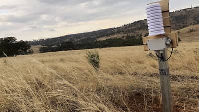 Measuring device stands on a pole in a field of native grasses.