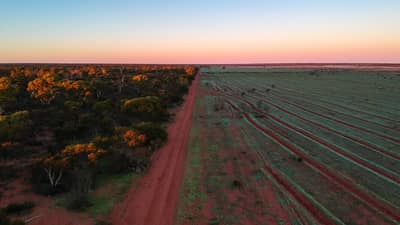 Intact bushland at Eurardy on the left and soon to be restored areas on the right.