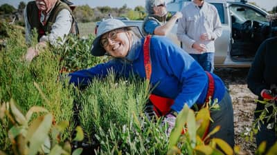 Volunteers are key to our planting success.