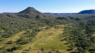 Carnarvon's grasslands.