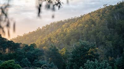 View from Oura Oura Reserve looking towards Glovers Flat.