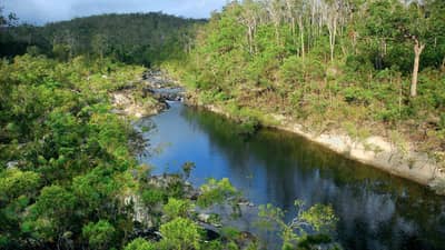 Cameron Creek at Yourka Reserve.