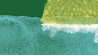 Abstract, textured pattern.