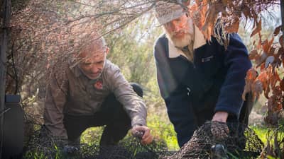 James Smith and Rod Brindley inspect one of the HAND traps on French Island.