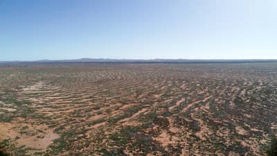 Gibber banded plains at Boolcoomatta Reserve