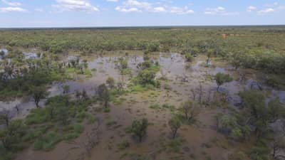 Back Creek Swamp in flood, Naree Station Reserve. Photo by Justin McCann.