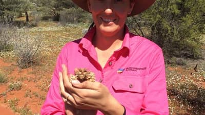 Bon Bon Station Field Officer Kate Taylor holding a Thorny Devil.