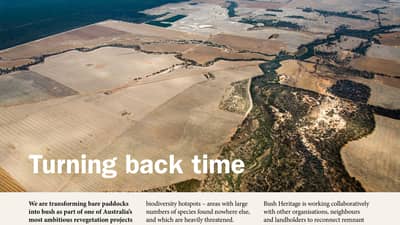 Newsletter cover spring 2017