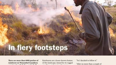 Summer 2017 newsletter