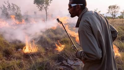 Uunguu Ranger Jason Adams conducting a cool burn.
