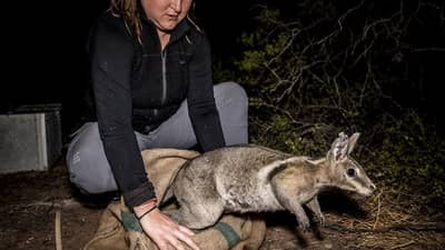 Jasmin Bourne releases a Flashjack on Avocet Nature Refuge. Photo Annette Ruzicka.