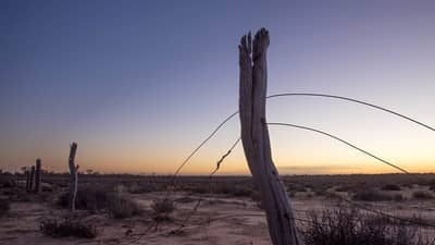 Old fencing on Charles Darwin Reserve, WA. Photo by Albert Wright.