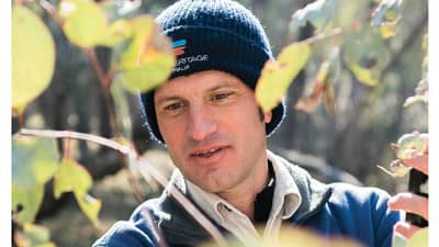 Dr Matt Appleby inspecting eucalypt leaves on the cover of Bushtracks Spring 2018.