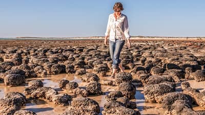 Dr Erica Suosaari walking among stromatolites at Hamelin Pool, WA.