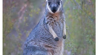 Winter 2018 newsletter