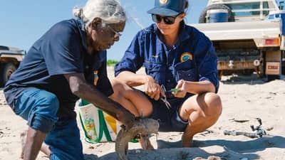 Senior Cultural Ranger Jessica Bangu guts a catfish with Karajarri Women's Ranger Coordinator Jackie Wemyss.