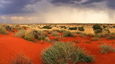 A desert storm moves across Cravens Peak Reserve, Qld, at the end of a major boom event in 2011. Photo Dr Aaron Greenville.