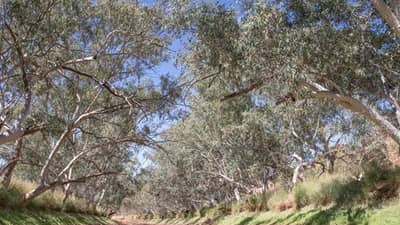 S-bend Gorge at Cravens Peak.