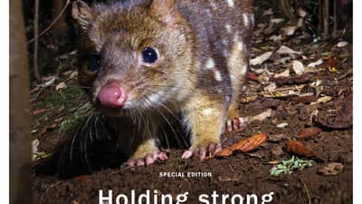 The front cover of Bushtracks Winter 2019 newsletter from Bush Heritage Australia.