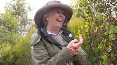 Writer Jane Caro delights at her first encounter with a Honey Possum on a Bush Heritage reserve in southwest WA.