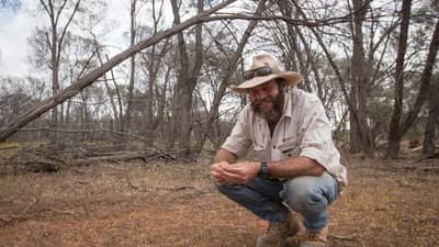 Greg Carroll in mulga woodlands.