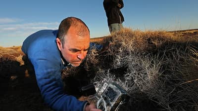 Dr Steve Murphy checking a remote camera at Pullen Pullen Reserve.