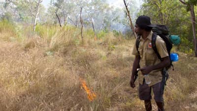 Wunambal Gaambera rangers light small grass fires as they walk. Photo Mark Jones.