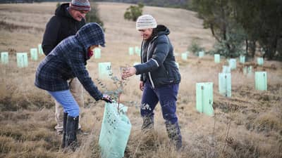 Local landholders Mike and Alice on their property by the Murrumbidgee River with UMDR Facilitator Antia Brademann.