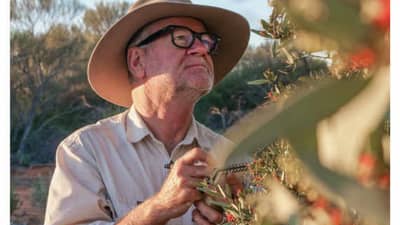 The front cover of Bushtracks Winter 2021 newsletter shows researcher Richard McLellan monitoring Sandalwood on Hamelin Station Reserve.