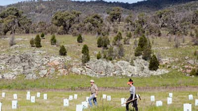 Volunteers walking past tree guards at Scottsdale Reserve.